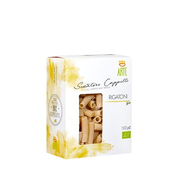 Rigatoni Classique Bio - 500g x 12 boîtes au carton